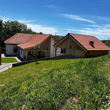 Hotel Domeniul Bondarelului Ocolisu Mic Zewnętrze zdjęcie