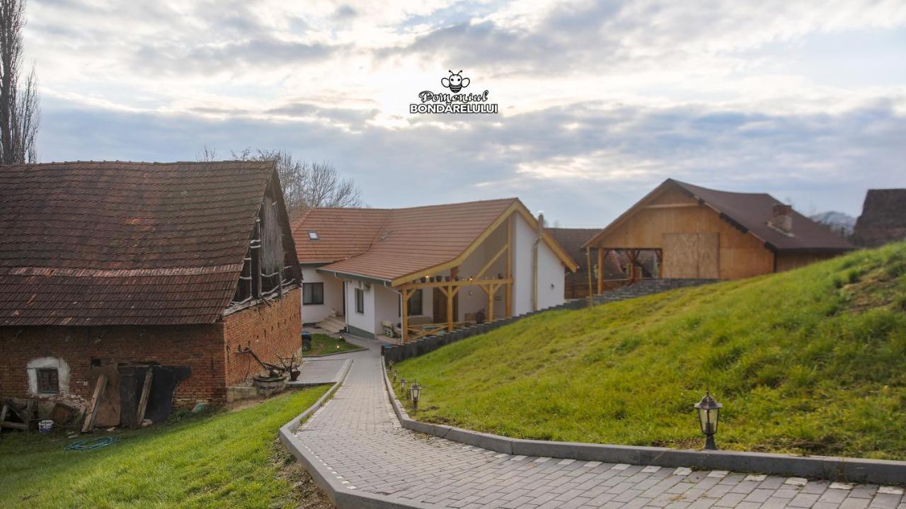 Hotel Domeniul Bondarelului Ocolisu Mic Zewnętrze zdjęcie