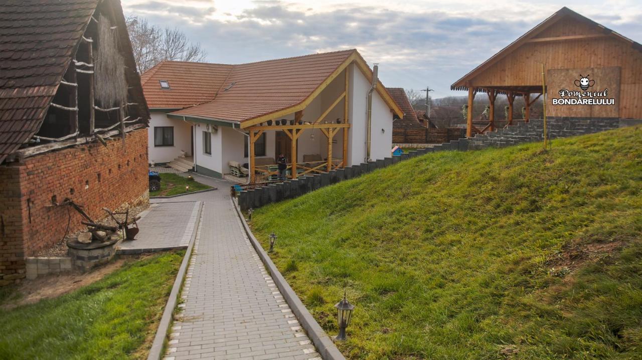Hotel Domeniul Bondarelului Ocolisu Mic Zewnętrze zdjęcie