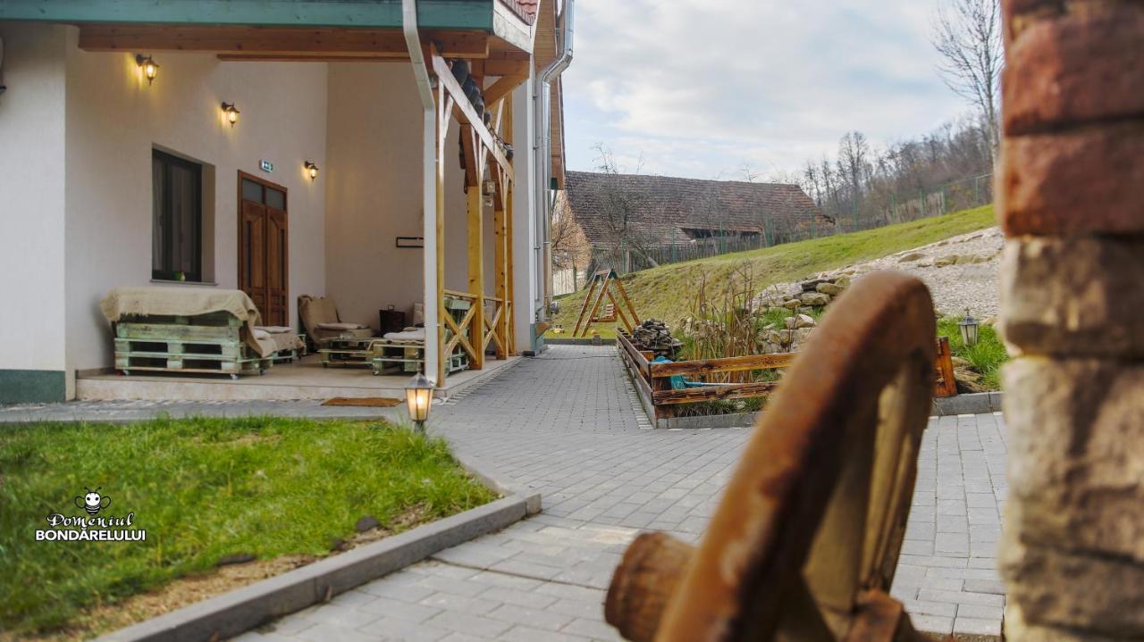 Hotel Domeniul Bondarelului Ocolisu Mic Zewnętrze zdjęcie