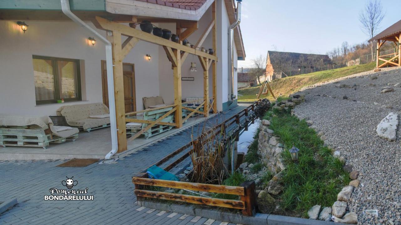 Hotel Domeniul Bondarelului Ocolisu Mic Zewnętrze zdjęcie