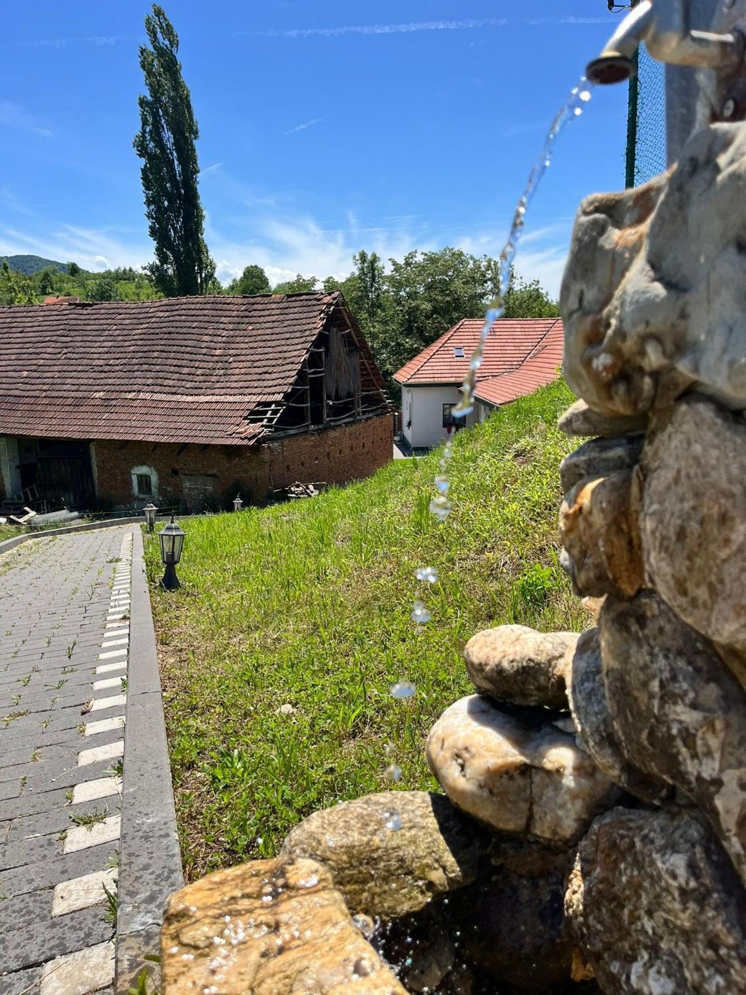 Hotel Domeniul Bondarelului Ocolisu Mic Zewnętrze zdjęcie